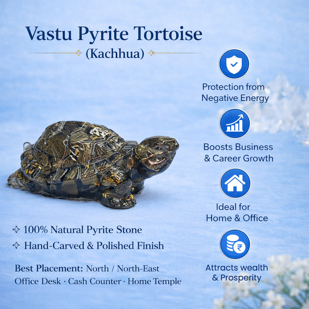 Resin original Pyrite tortoise ( kachhua)