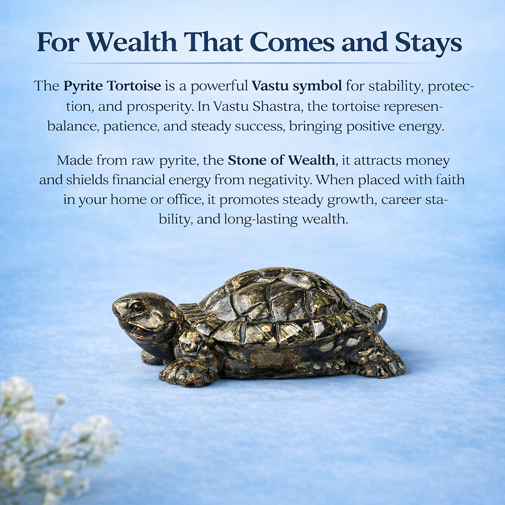 Resin original Pyrite tortoise ( kachhua)