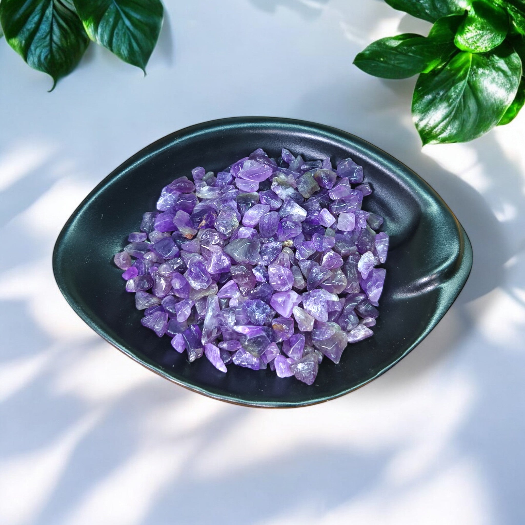 A collection of raw Amethyst crystals chips displayed in a black bowl, with green foliage in the background.