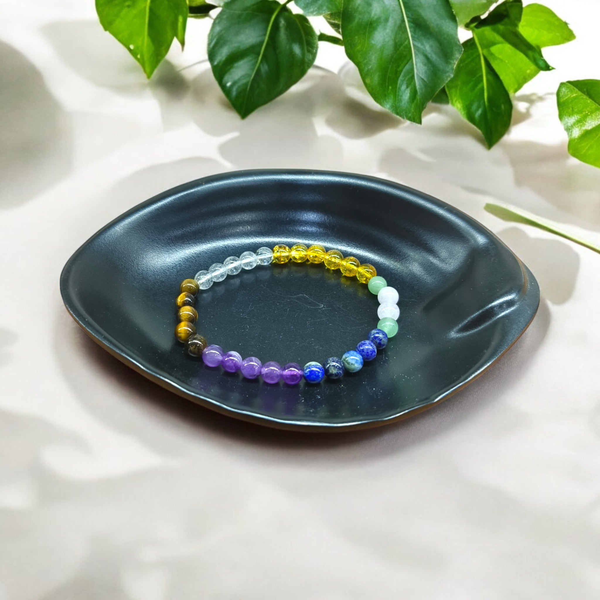 STUDENT BRACELATE