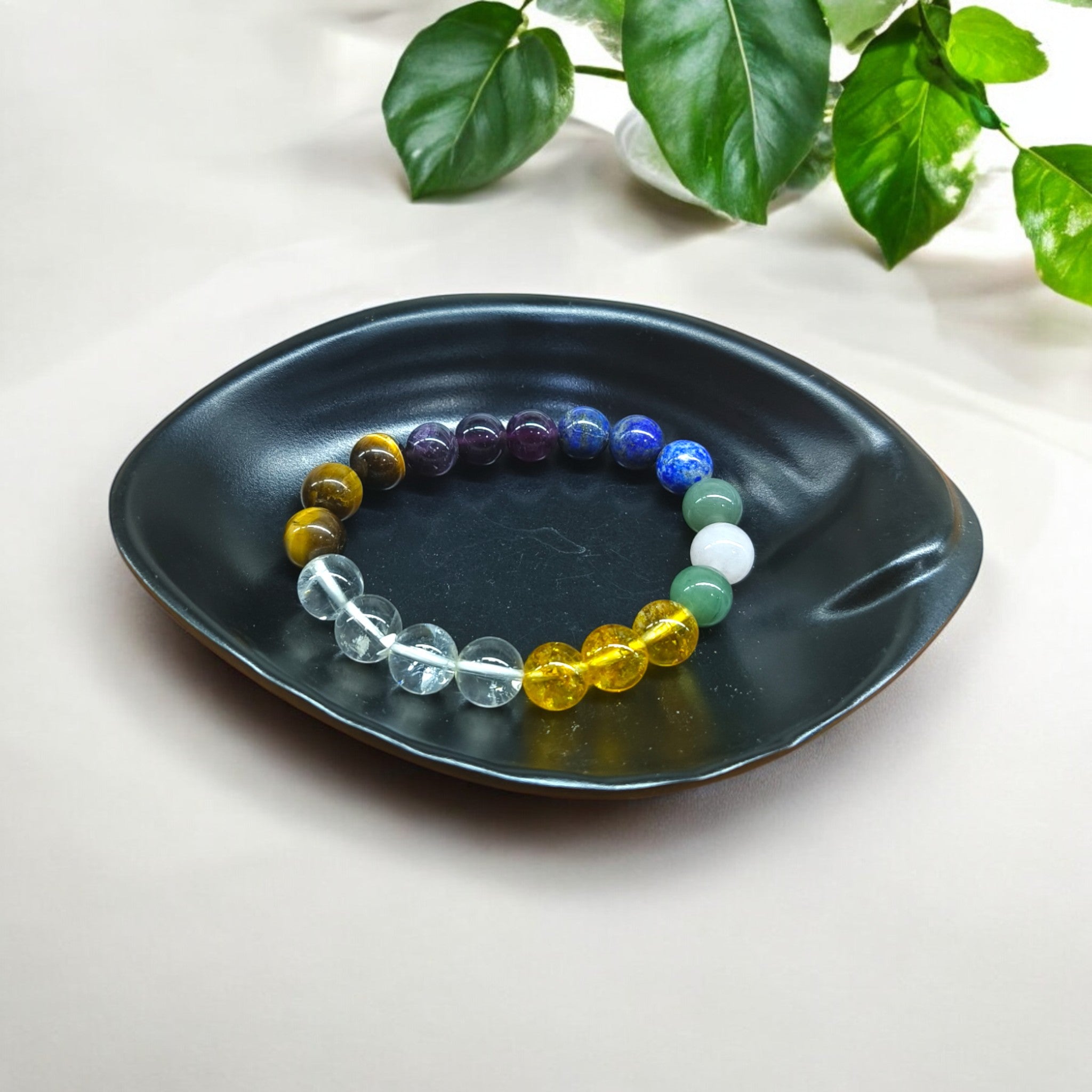 STUDENT BRACELATE