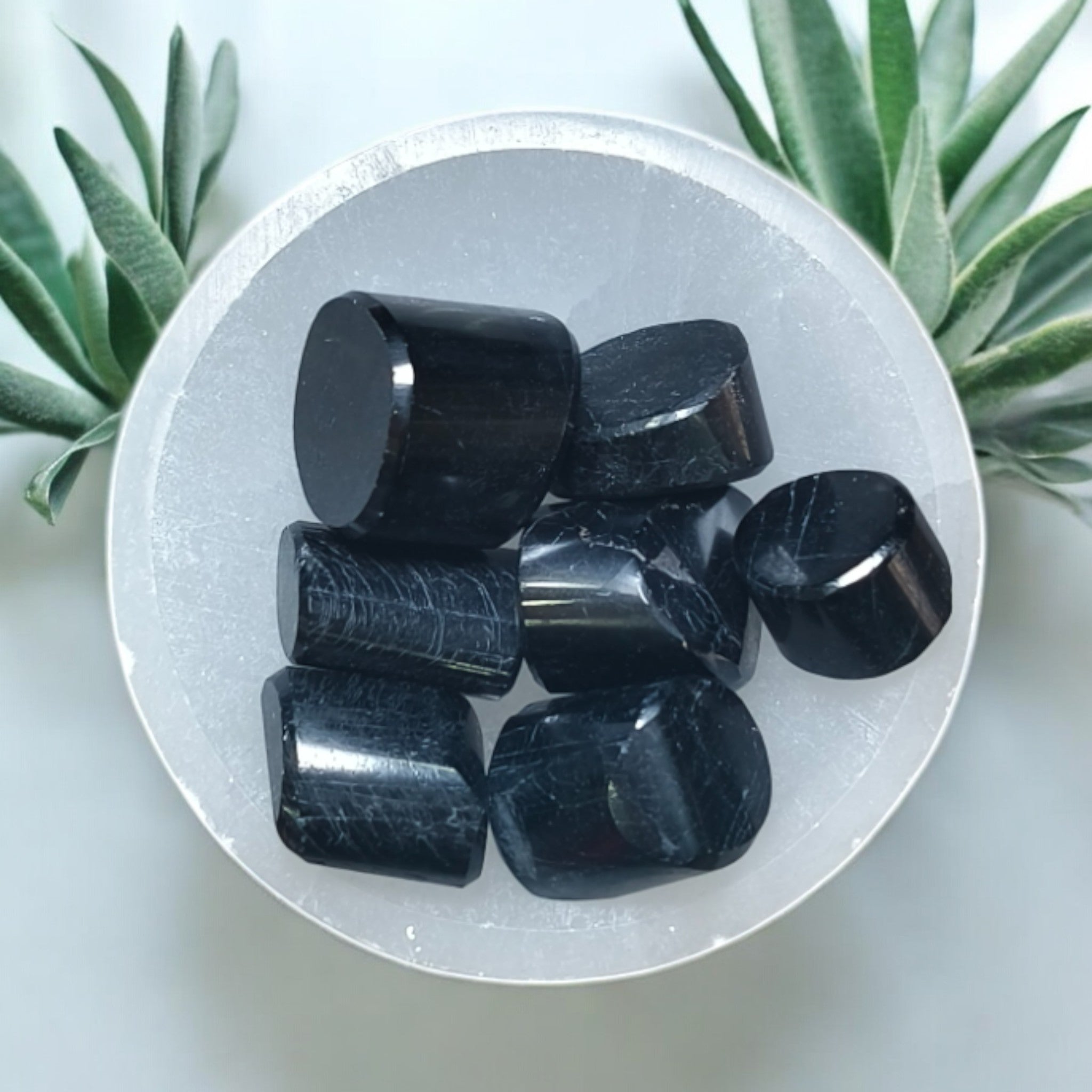 A collection of polished black tourmaline stones arranged on a white surface, with a plant in the background.
