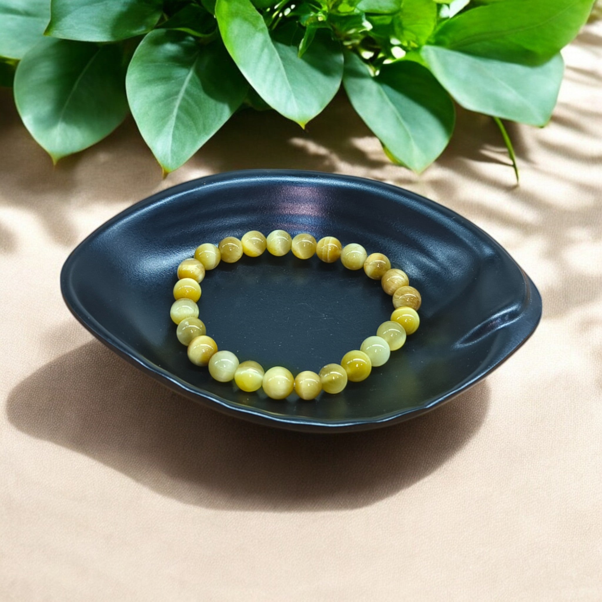 TIGER CAT'S EYE 8 MM