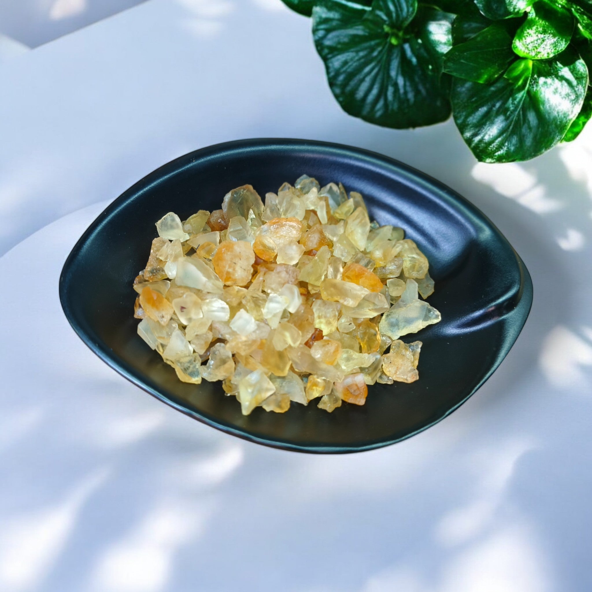 Citrine Chips
