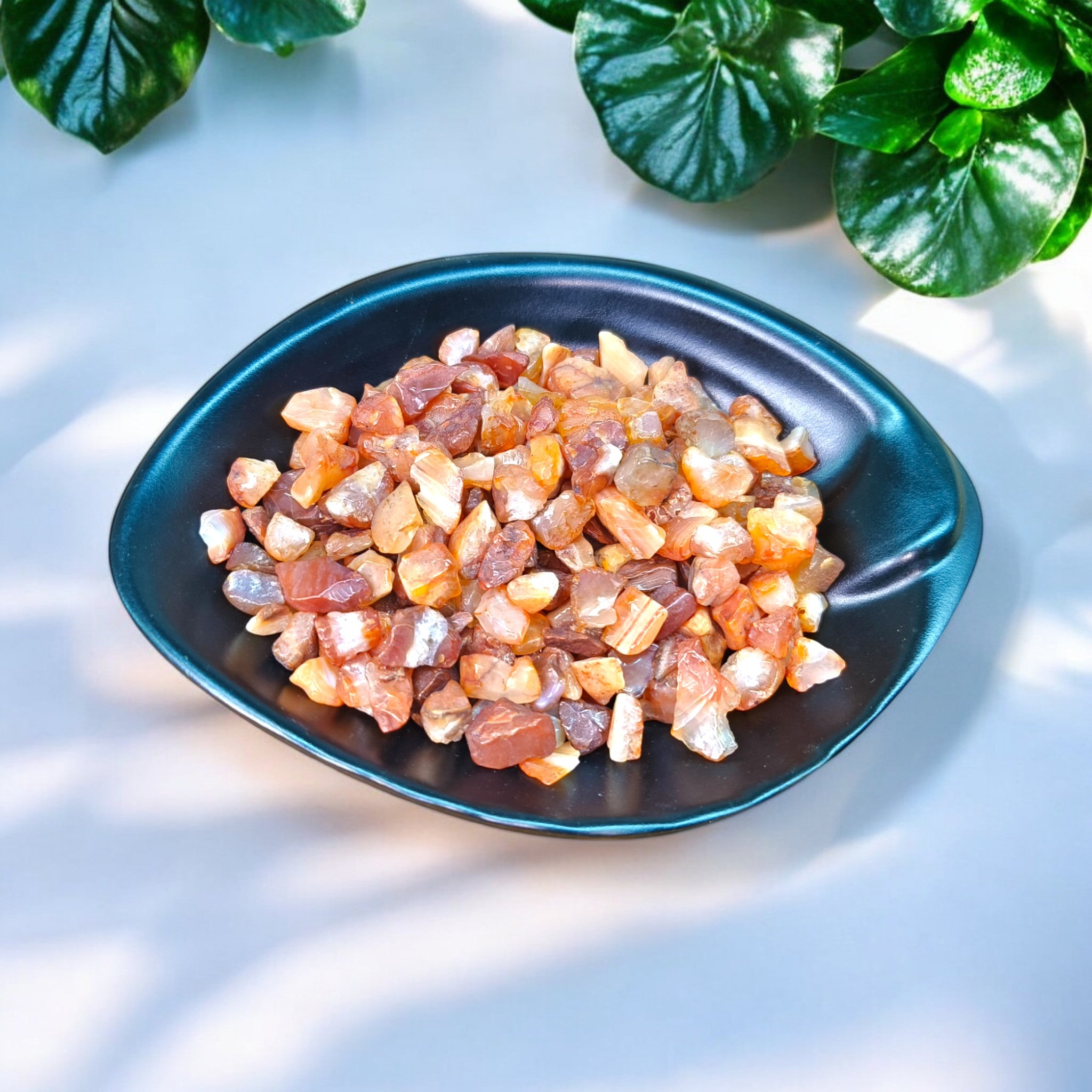Carnelian Chips