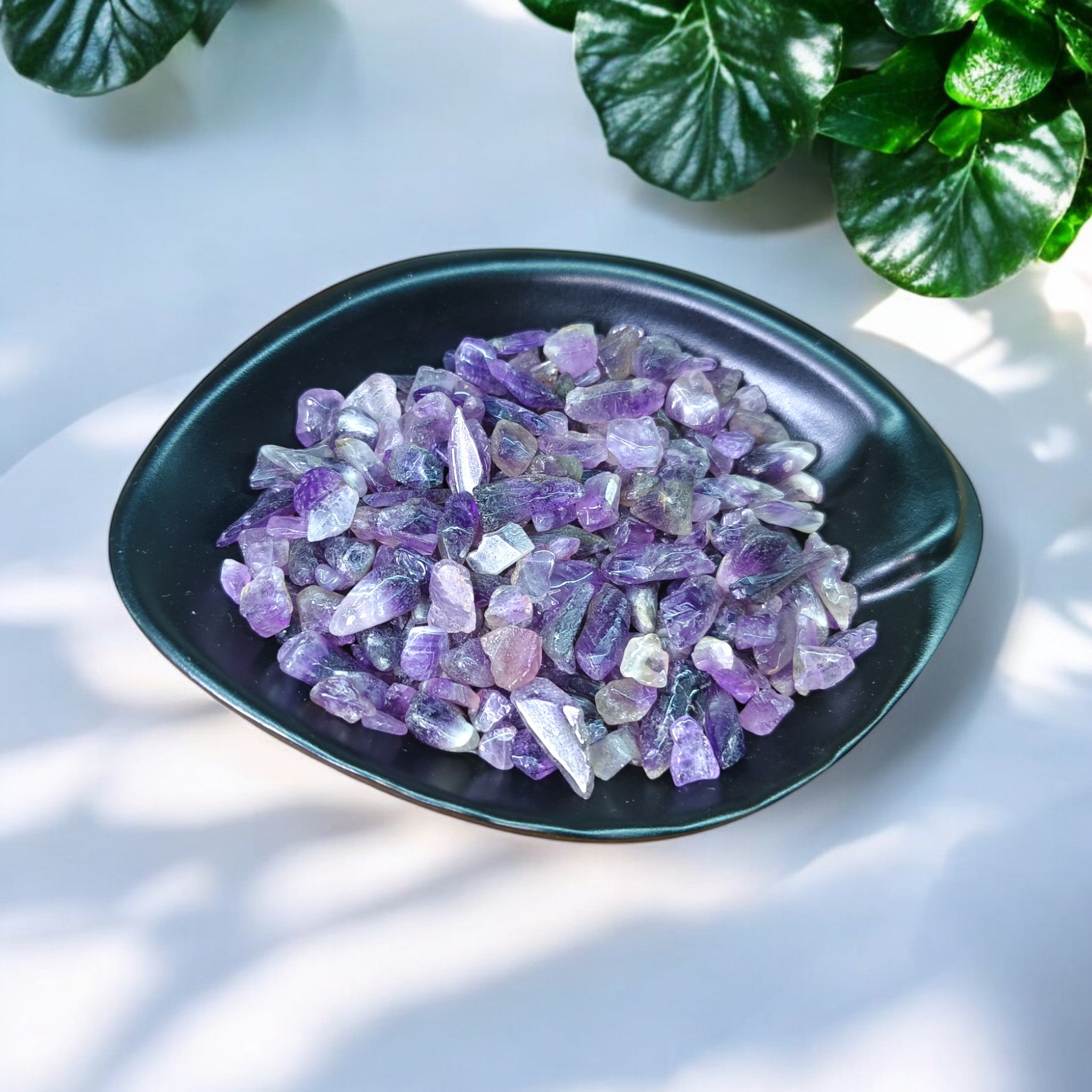 Amethyst  Chips Reg