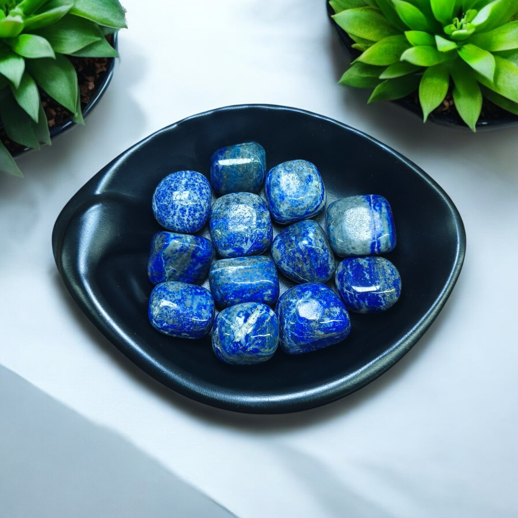 A collection of polished lapis lazuli stones arranged on a black plate, with succulent plants in the background.