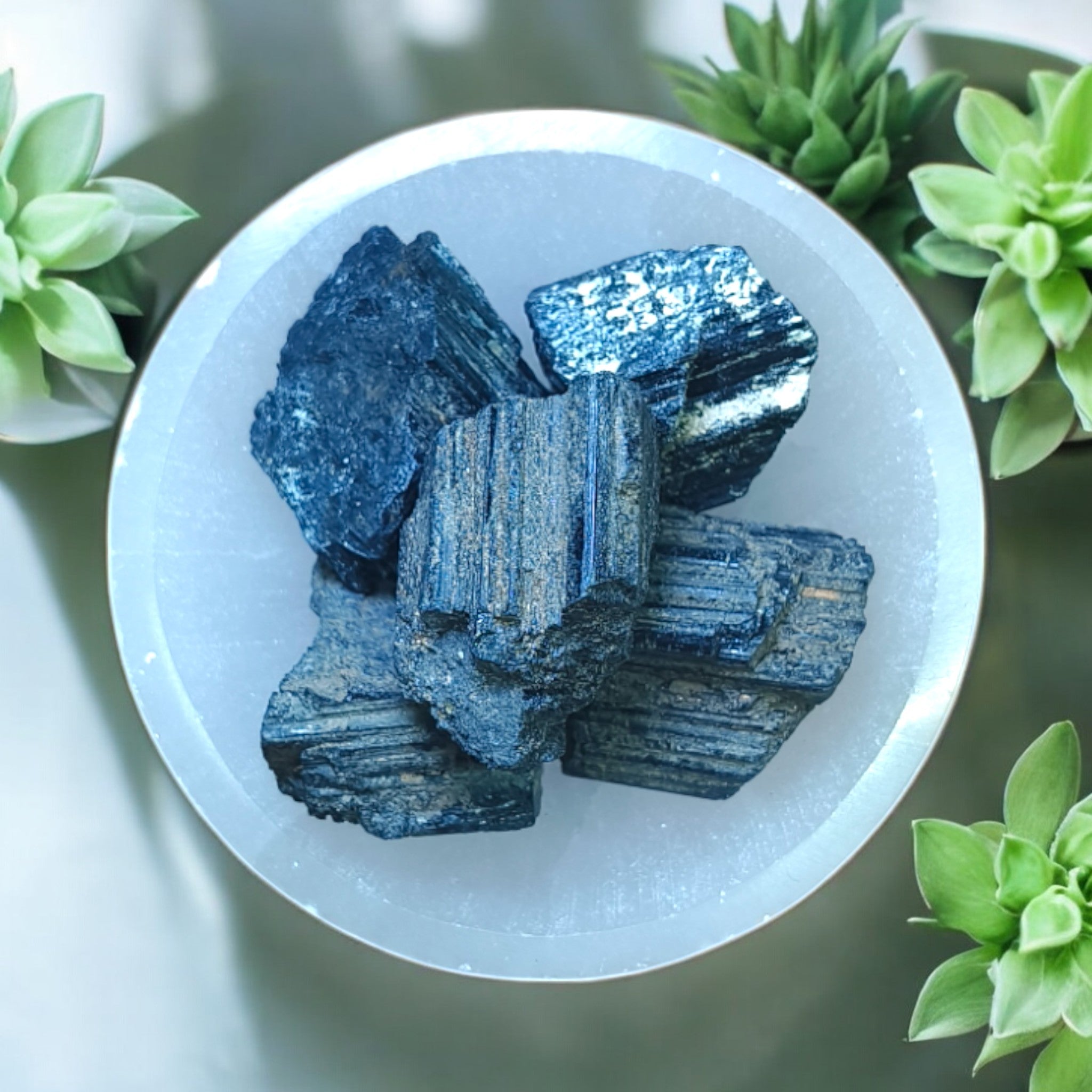 A collection of black tourmaline stones with a rough, textured surface, displayed on a white plate, surrounded by green plants.