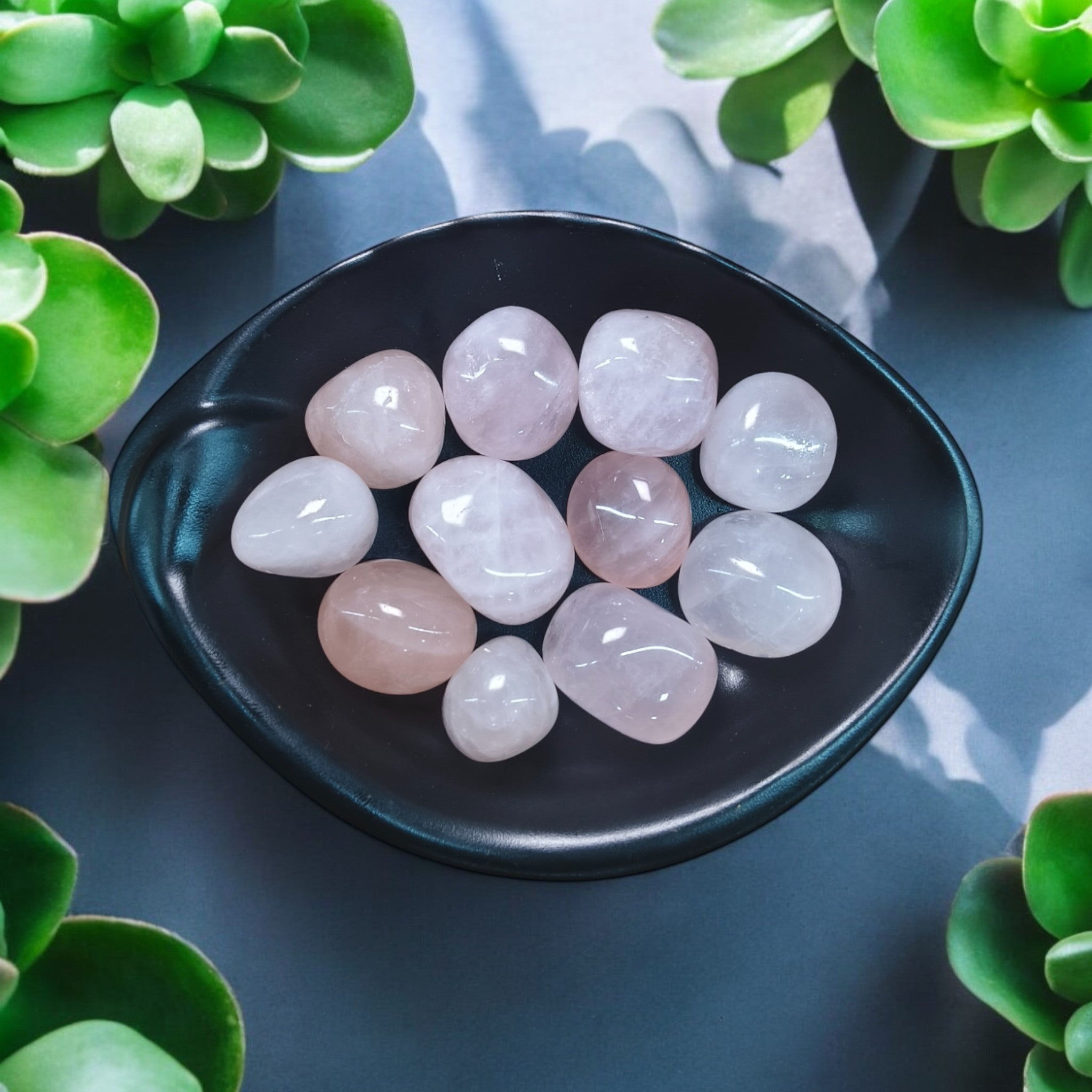 Black dish with pink and white stones surrounded by green plants on a reflective surface