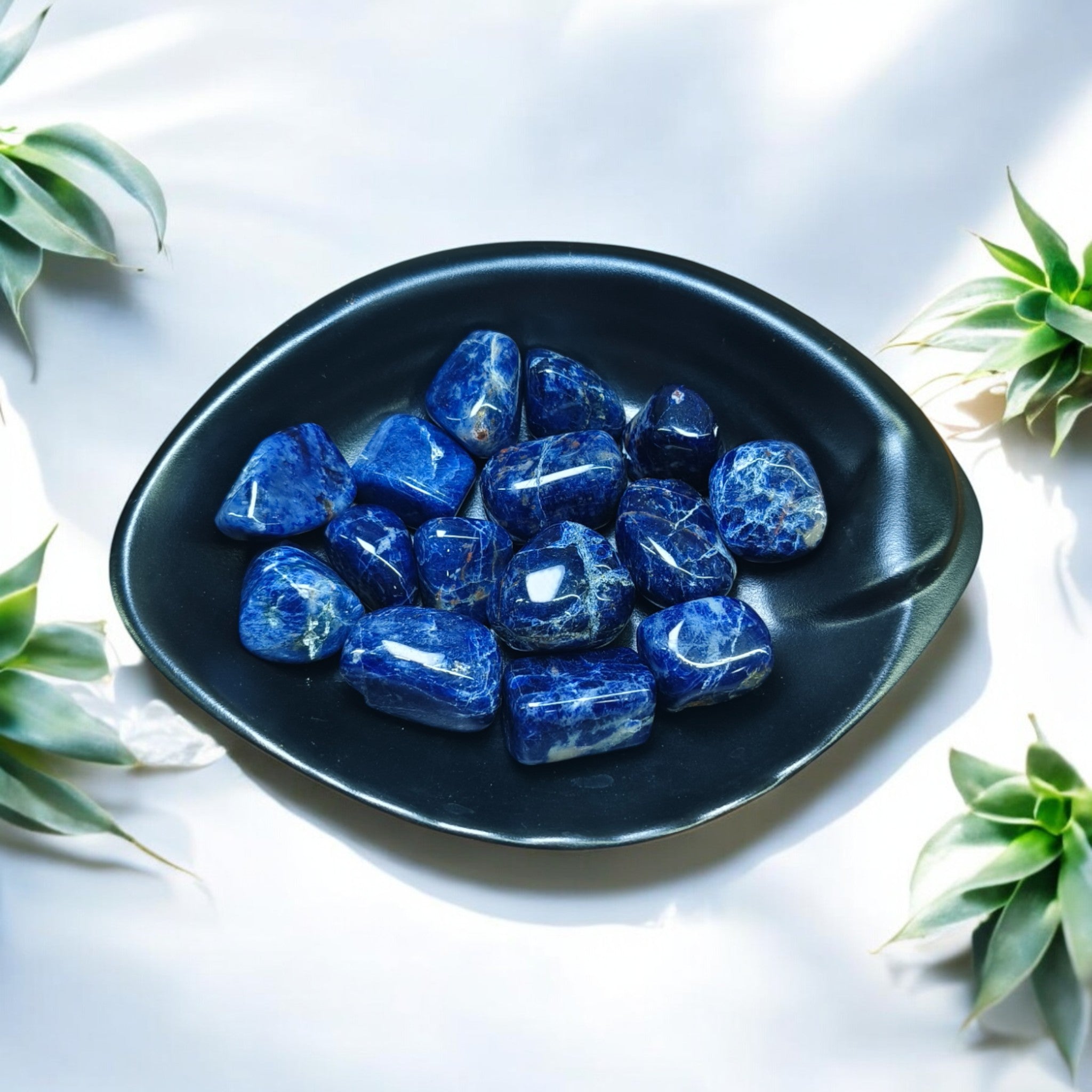 A collection of polished sodalite stones displayed in a black bowl, with the stones showing various shades of blue.