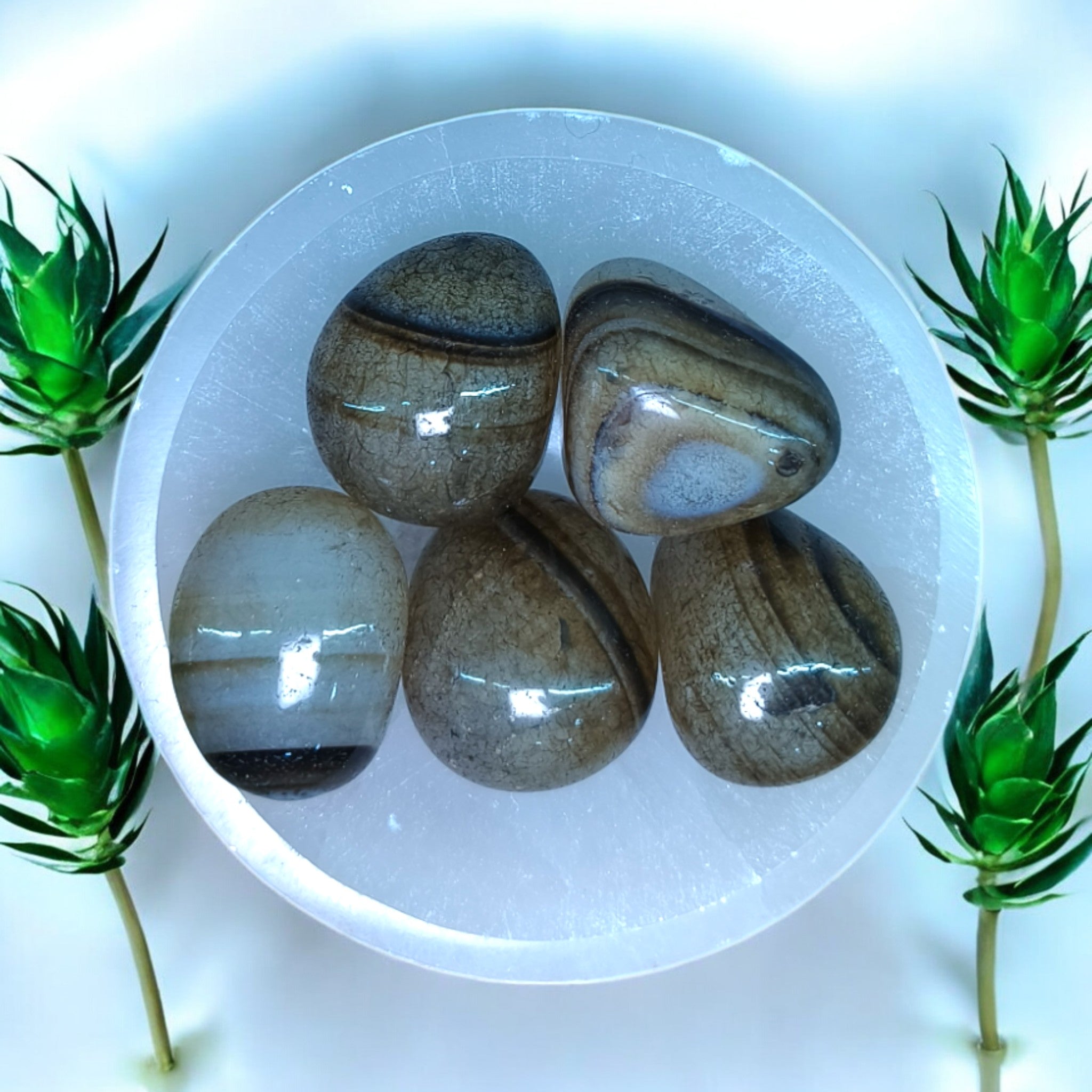 A collection of polished Sulemani Hakik stones displayed in a white bowl, surrounded by green plant leaves.