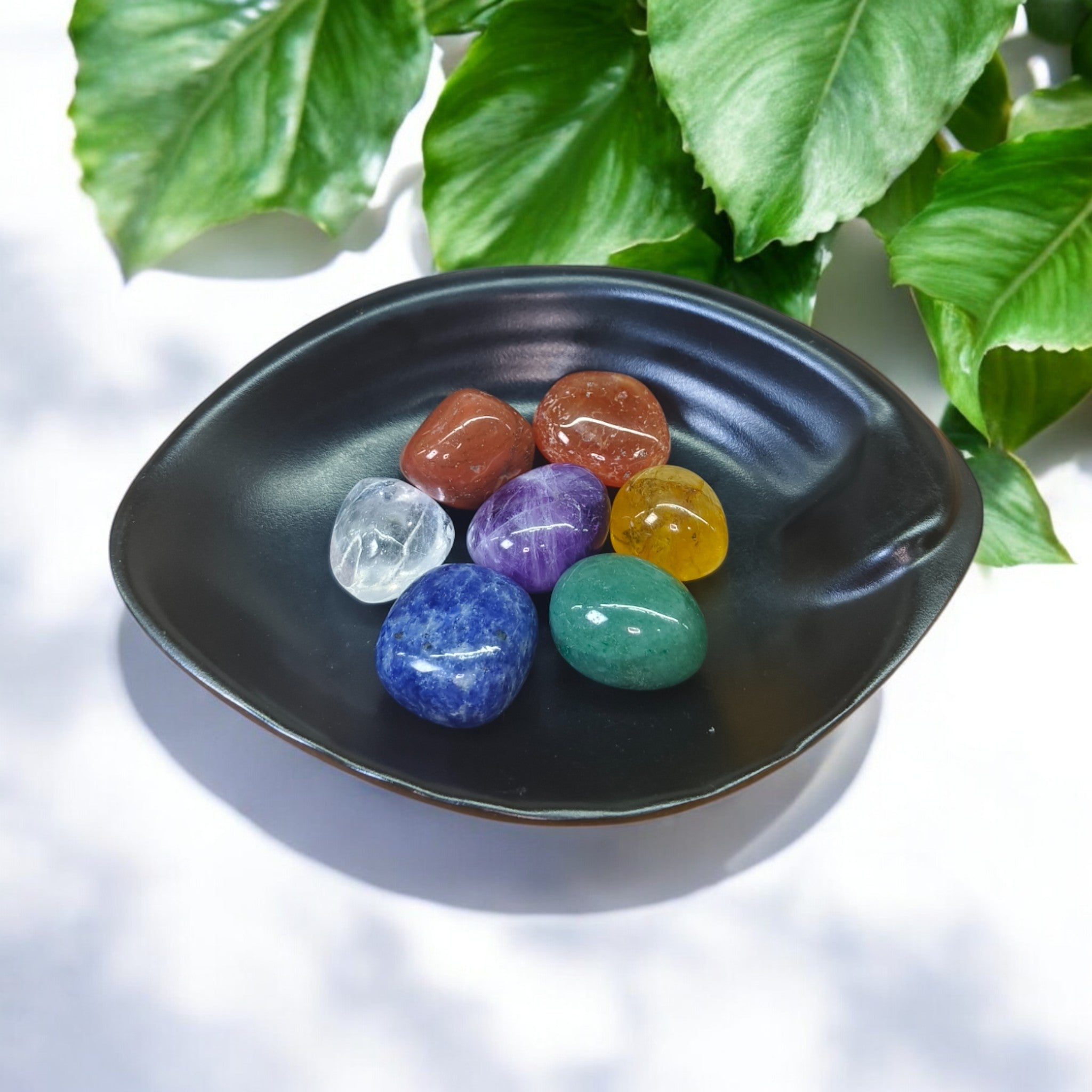7 Chakra kit for water exillir